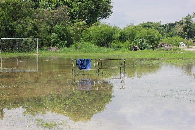初学者可能 初学者可能