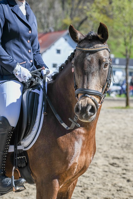 库里作为金 库里作为金