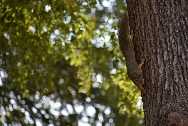 手的比赛中 手的比赛中