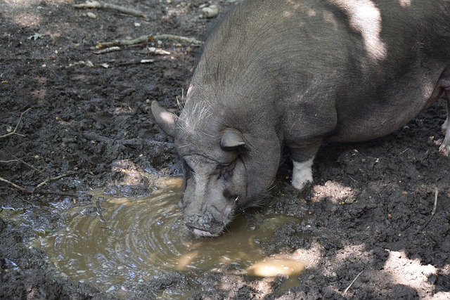次封盖的全 次封盖的全
