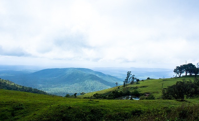 处于上风 处于上风