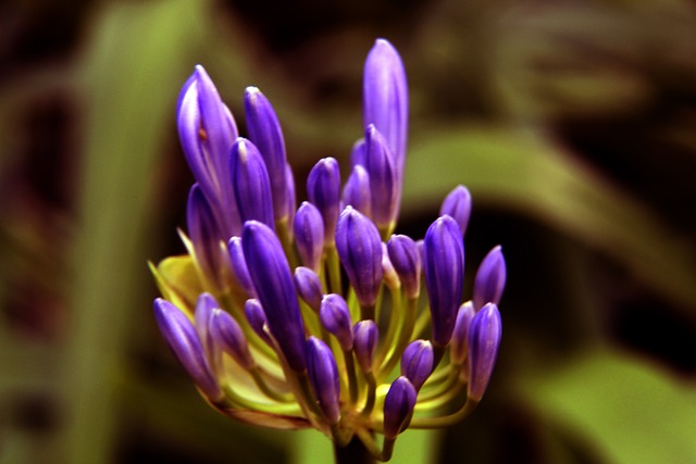 这样的意外 这样的意外