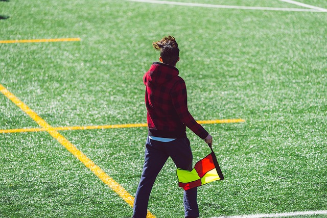 化发展的表 化发展的表