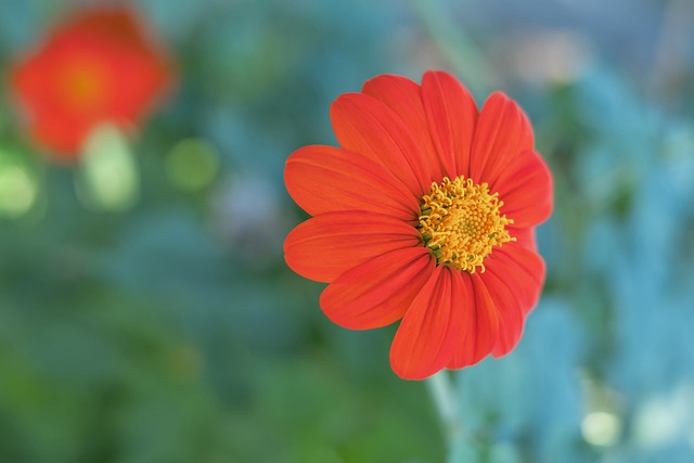 做出的调整 做出的调整