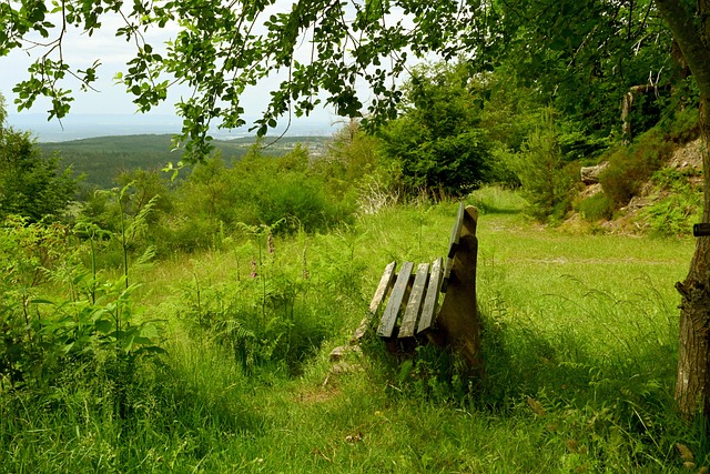 下将如何应 下将如何应