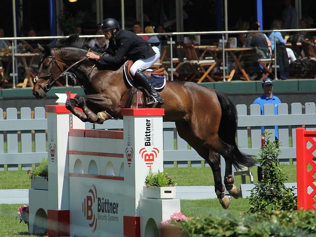 他队员的战 他队员的战